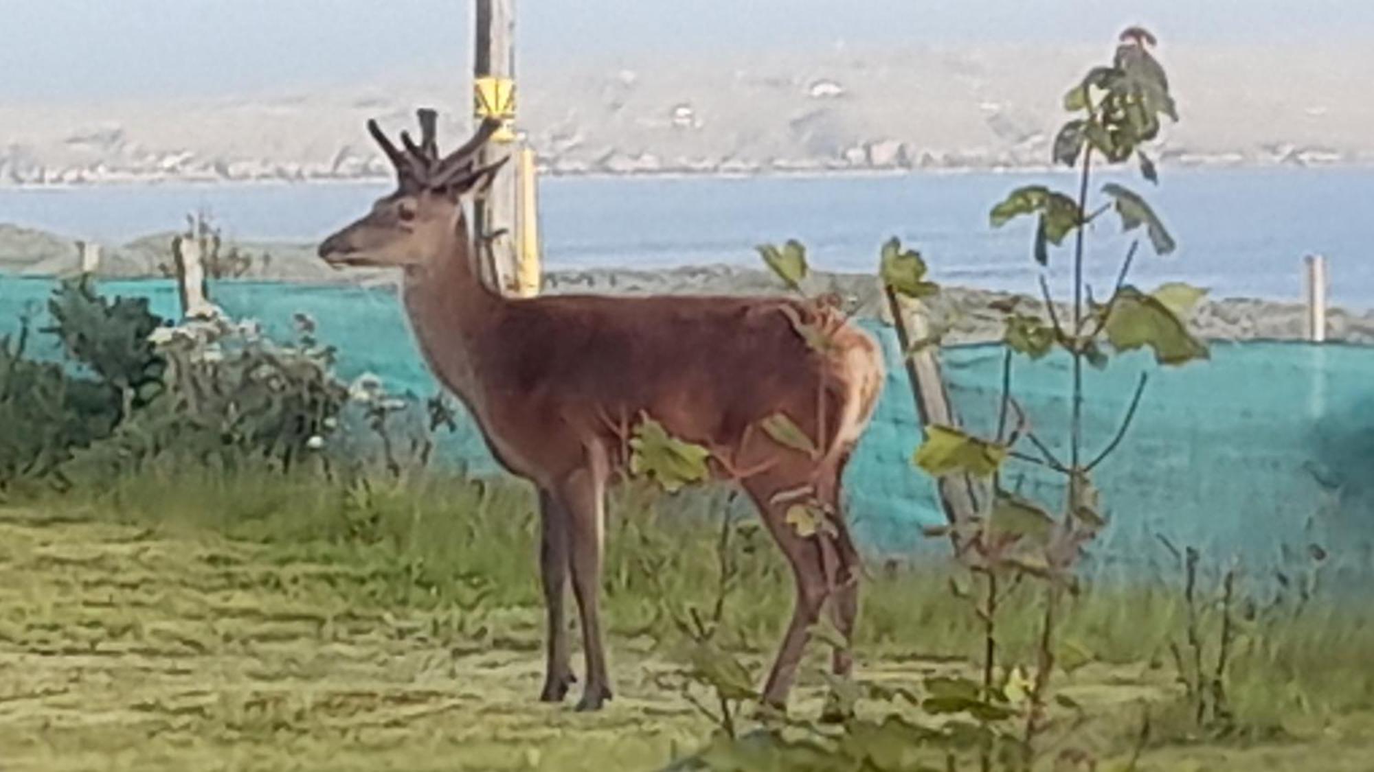 לינה וארוחת בוקר Big Sand Otters Retreat מראה חיצוני תמונה